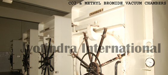 Fumigation Chamber Of Ispaghula ,Jyotindra International